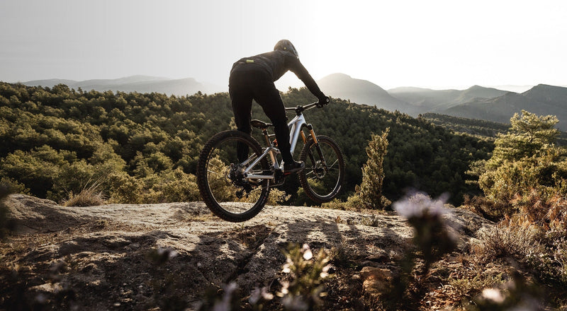 Discovering Orbea: A European Cycling Icon