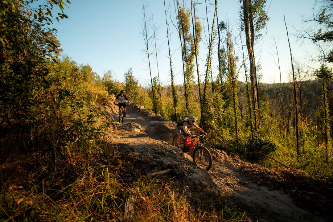 Downcountry Mountain Bikes