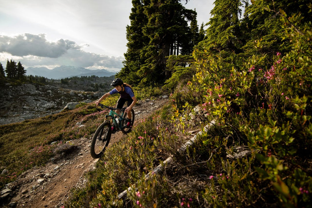 Trail Mountain Bikes