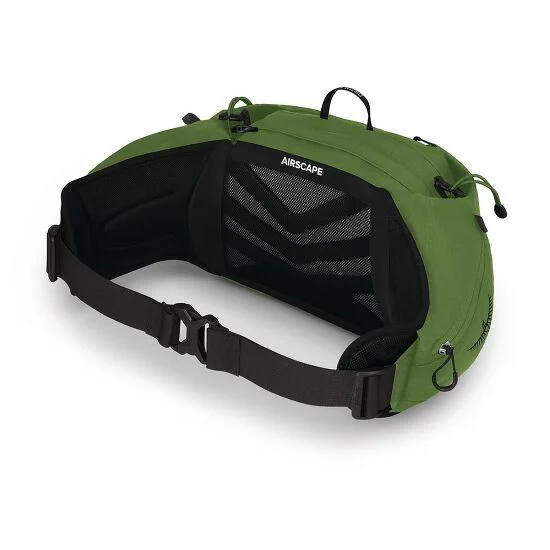 Talon 6 Waist Pack