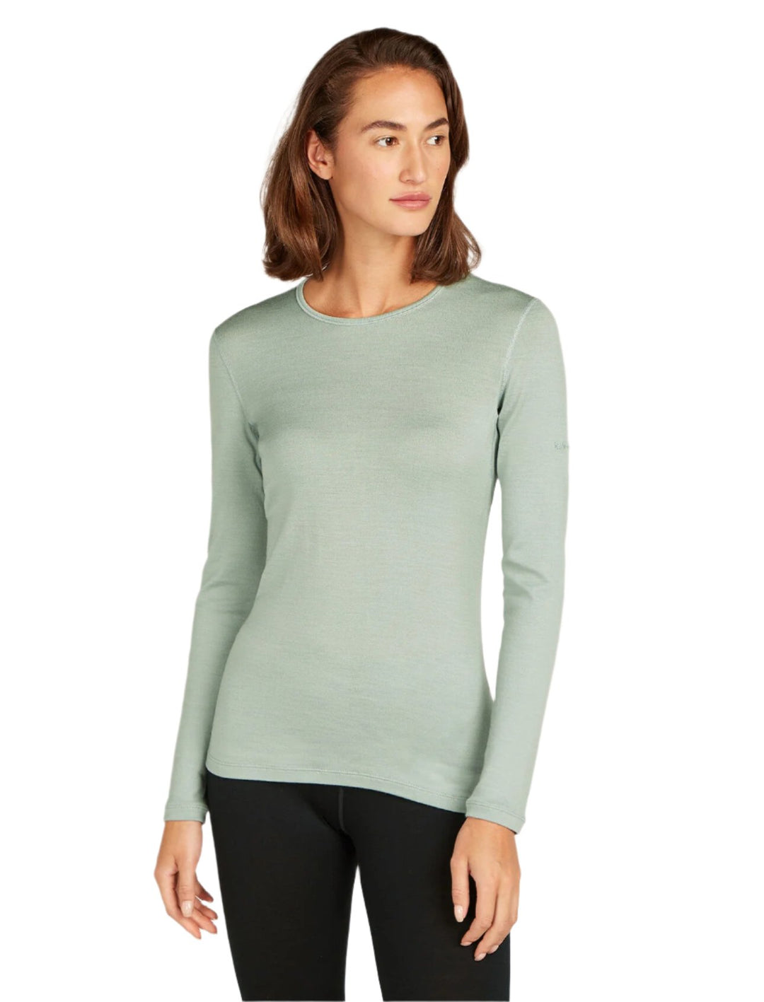 Merino 260 Tech Long Sleeve Crewe Thermal Top - Women's