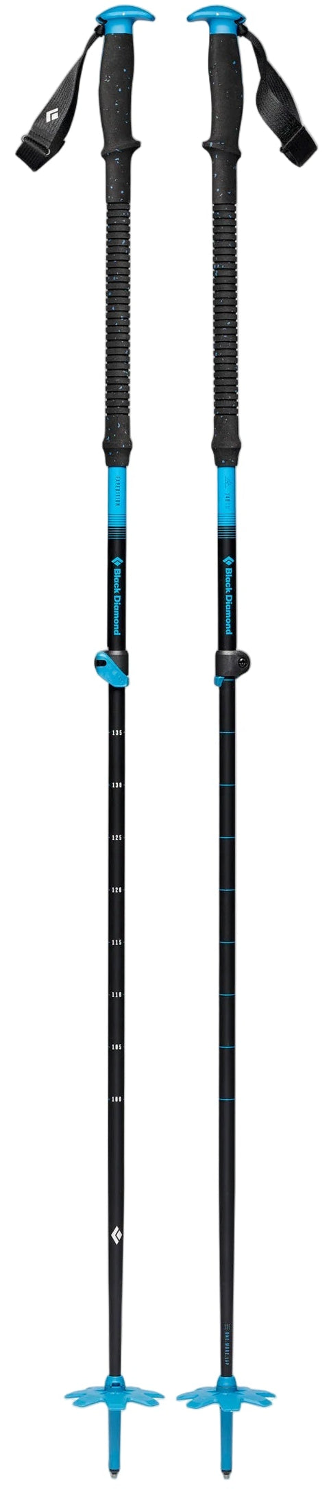 Expedition Alpine Ski Poles