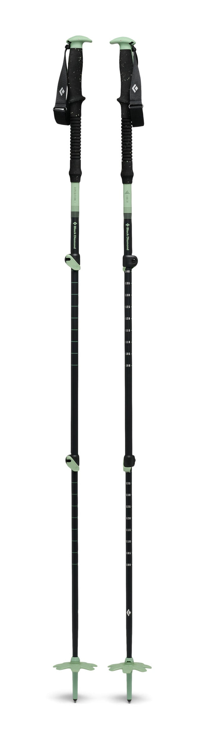 Expedition 3 Alpine Ski Poles