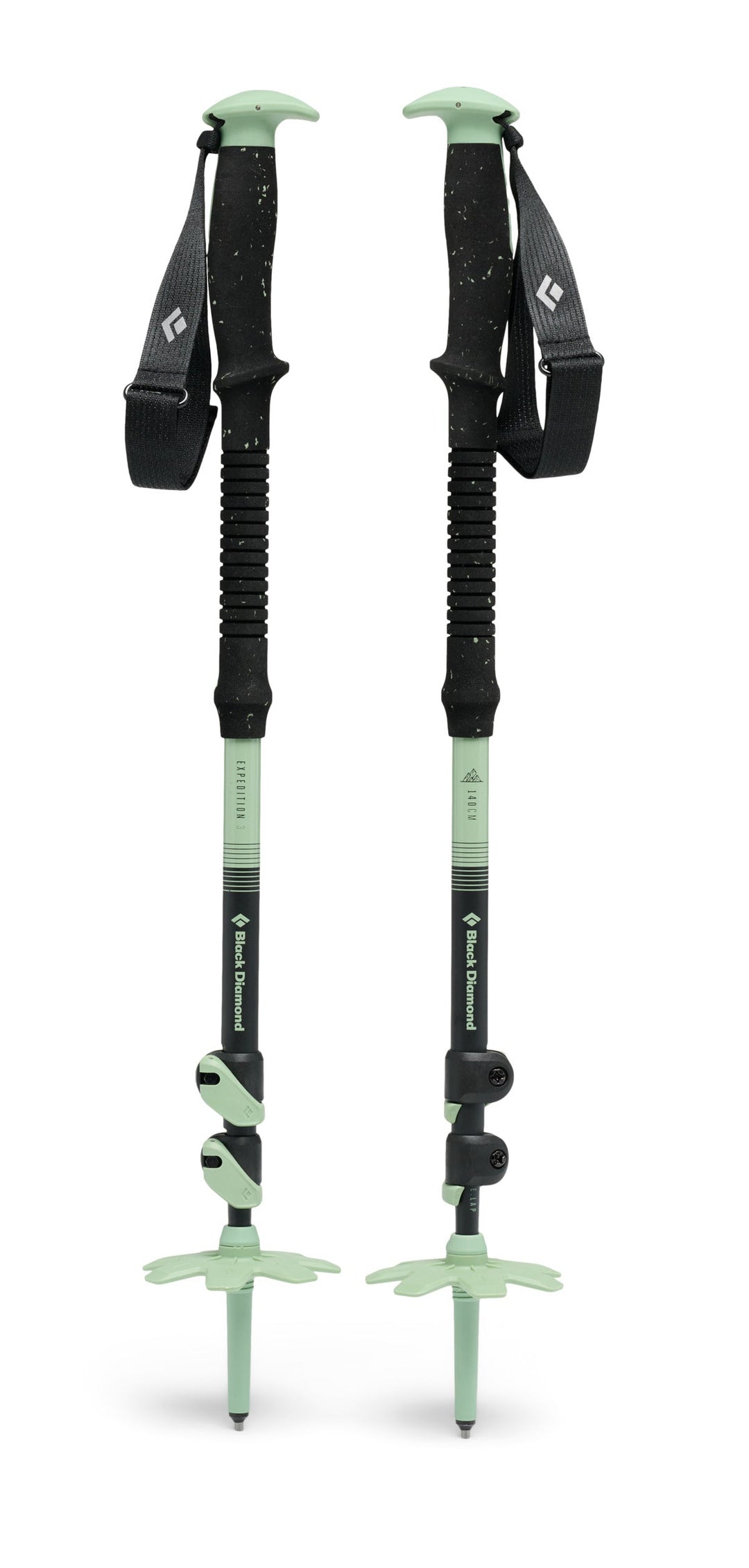 Expedition 3 Alpine Ski Poles
