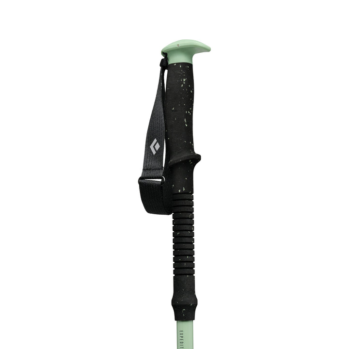 Expedition 3 Alpine Ski Poles