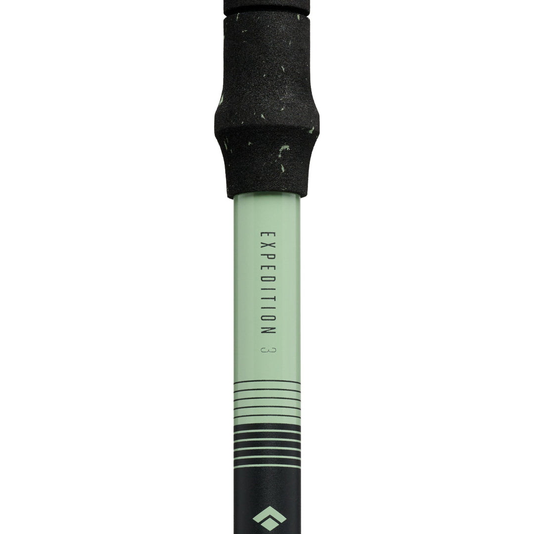 Expedition 3 Alpine Ski Poles