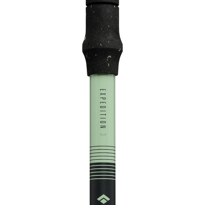 Expedition 3 Alpine Ski Poles