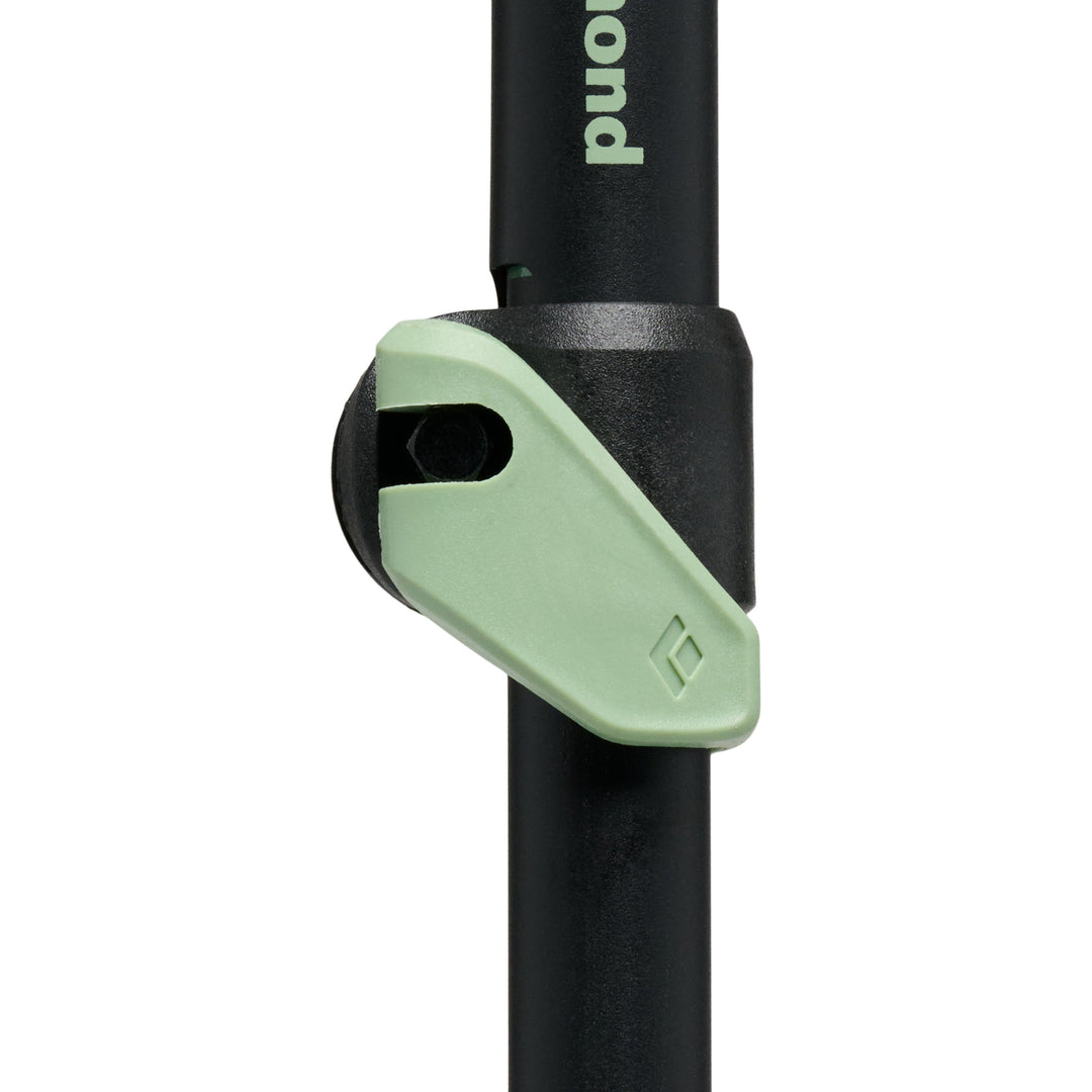 Expedition 3 Alpine Ski Poles
