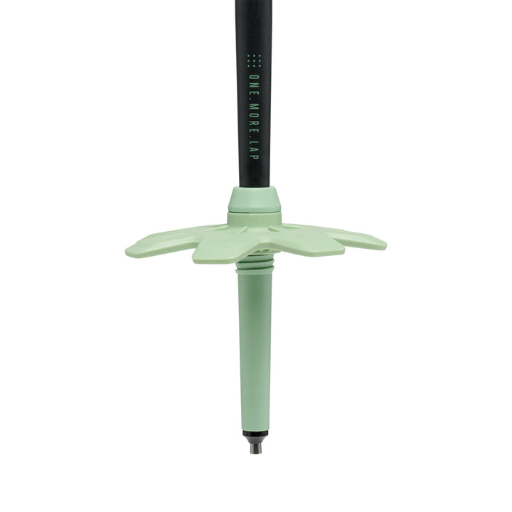 Expedition 3 Alpine Ski Poles