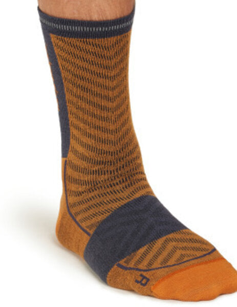 Merino Blend Run+ Ultralight Crew Socks - Men's