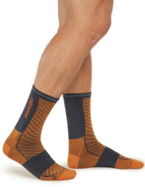 Merino Blend Run+ Ultralight Crew Socks - Men's