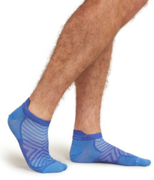 Merino Blend Run+ Ultralight Micro Socks - Men's