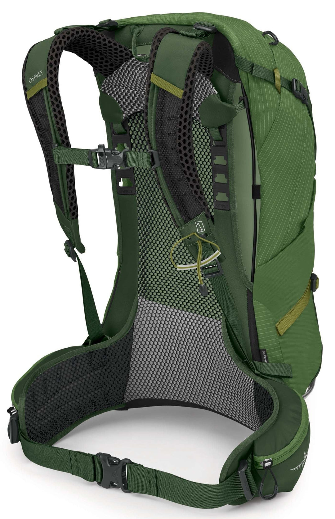 Stratos Pack 24L Mens – Bushtukah