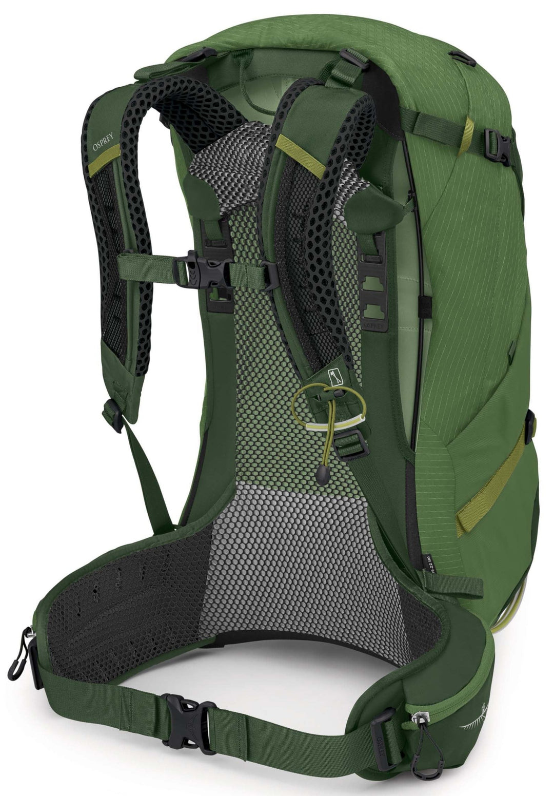 Stratos 34 Pack - Mens