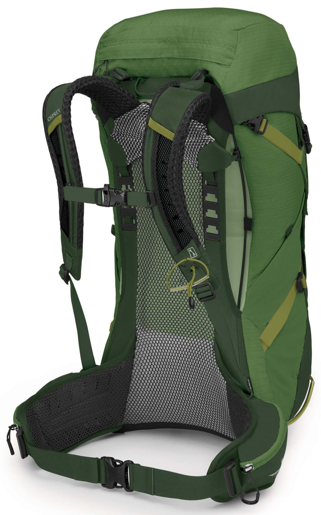 Stratos 36 Pack - Mens