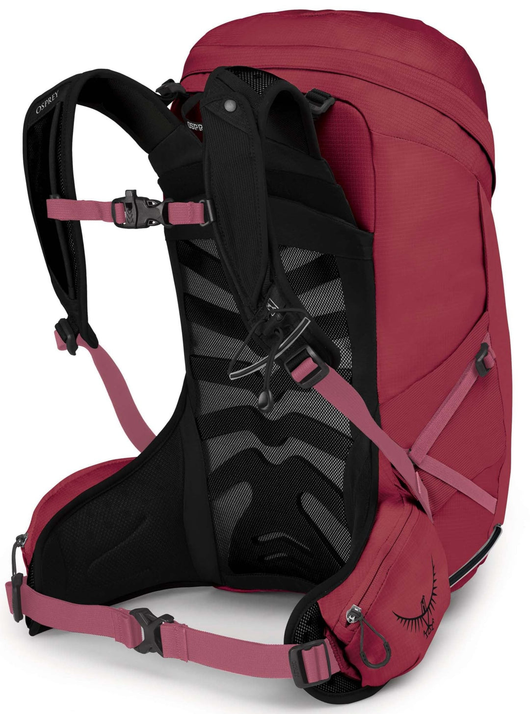 Tempest 24 Pack - Womens