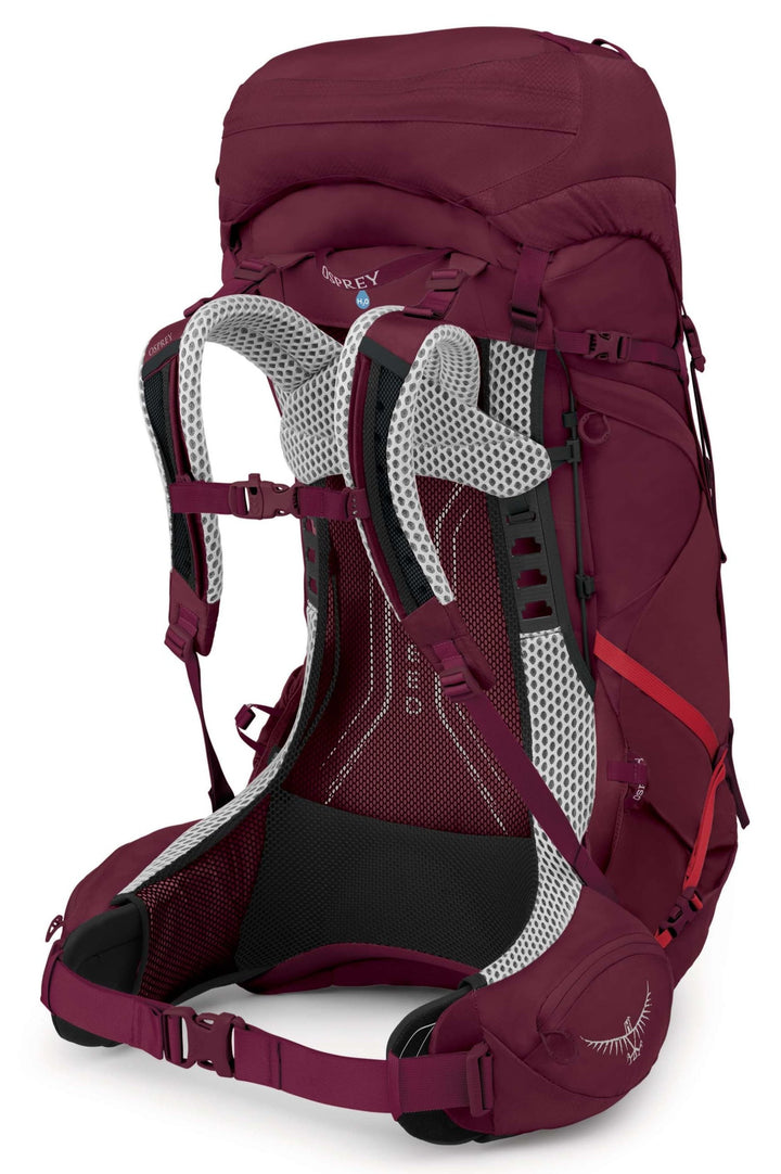 Aura AG LT 50 Pack - Women's