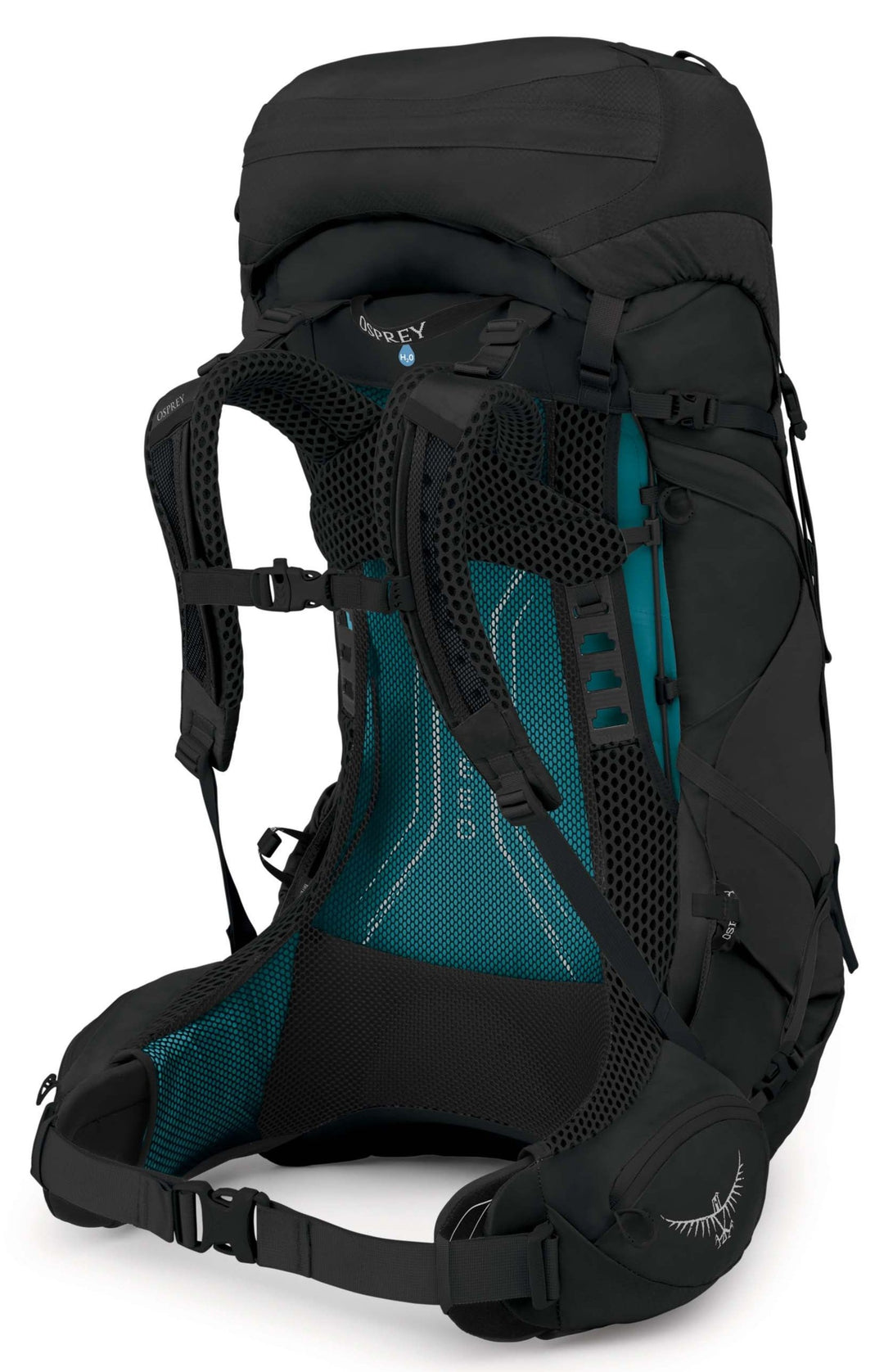 Aura AG LT 50 Pack - Women's