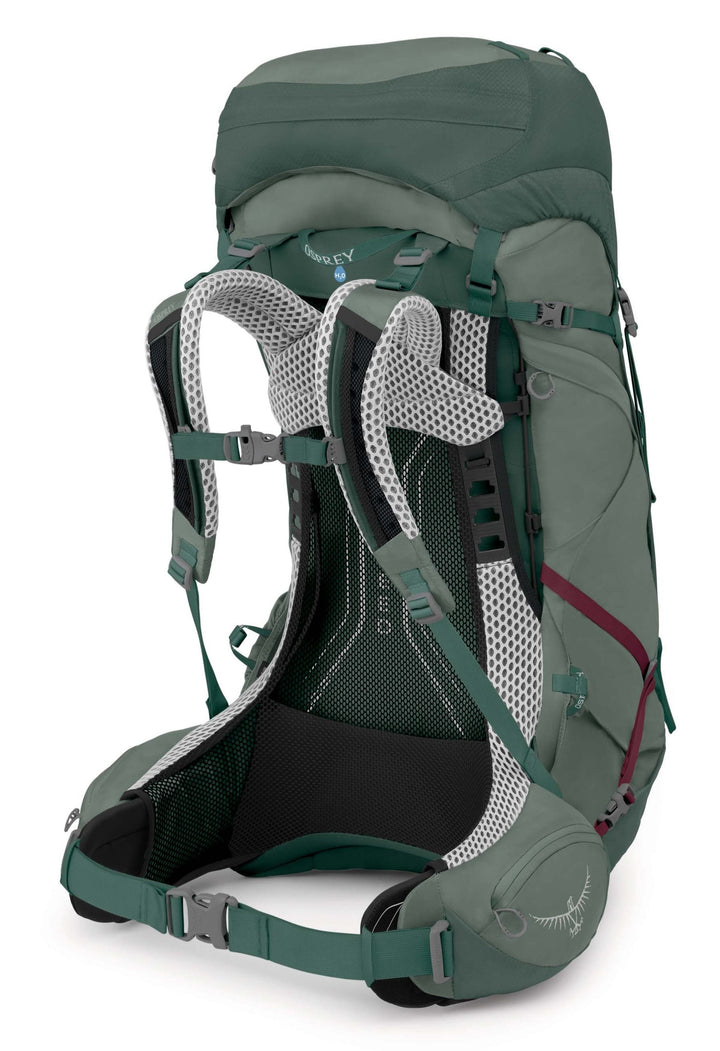 Aura AG LT 50 Pack - Women's