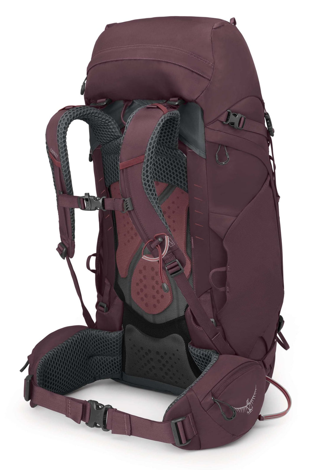 Kyte 48 Pack - Women's