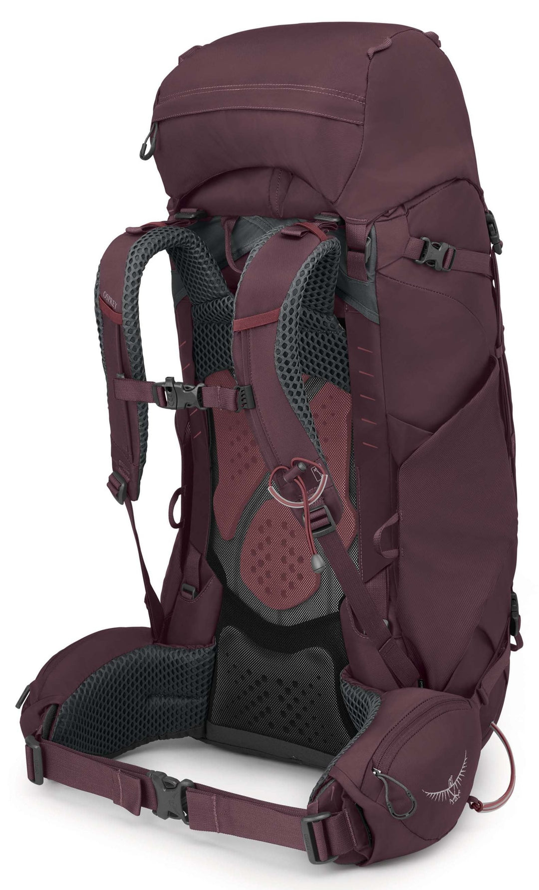 Kyte 58 Pack - Women's