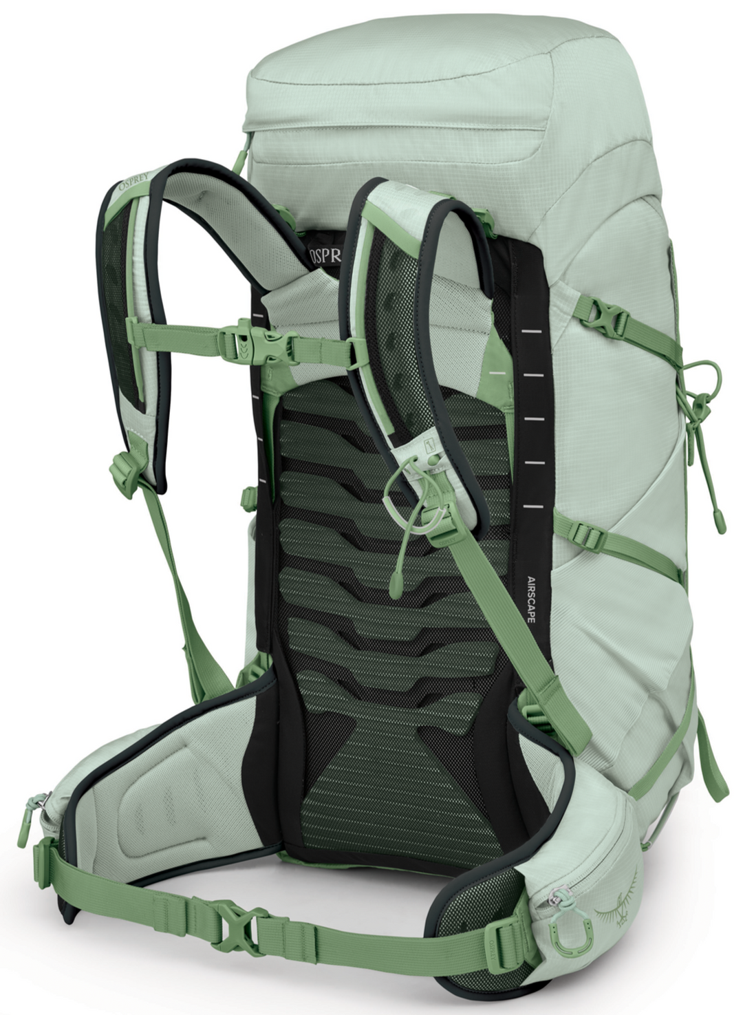 Tempest Pack - 33L - Women's