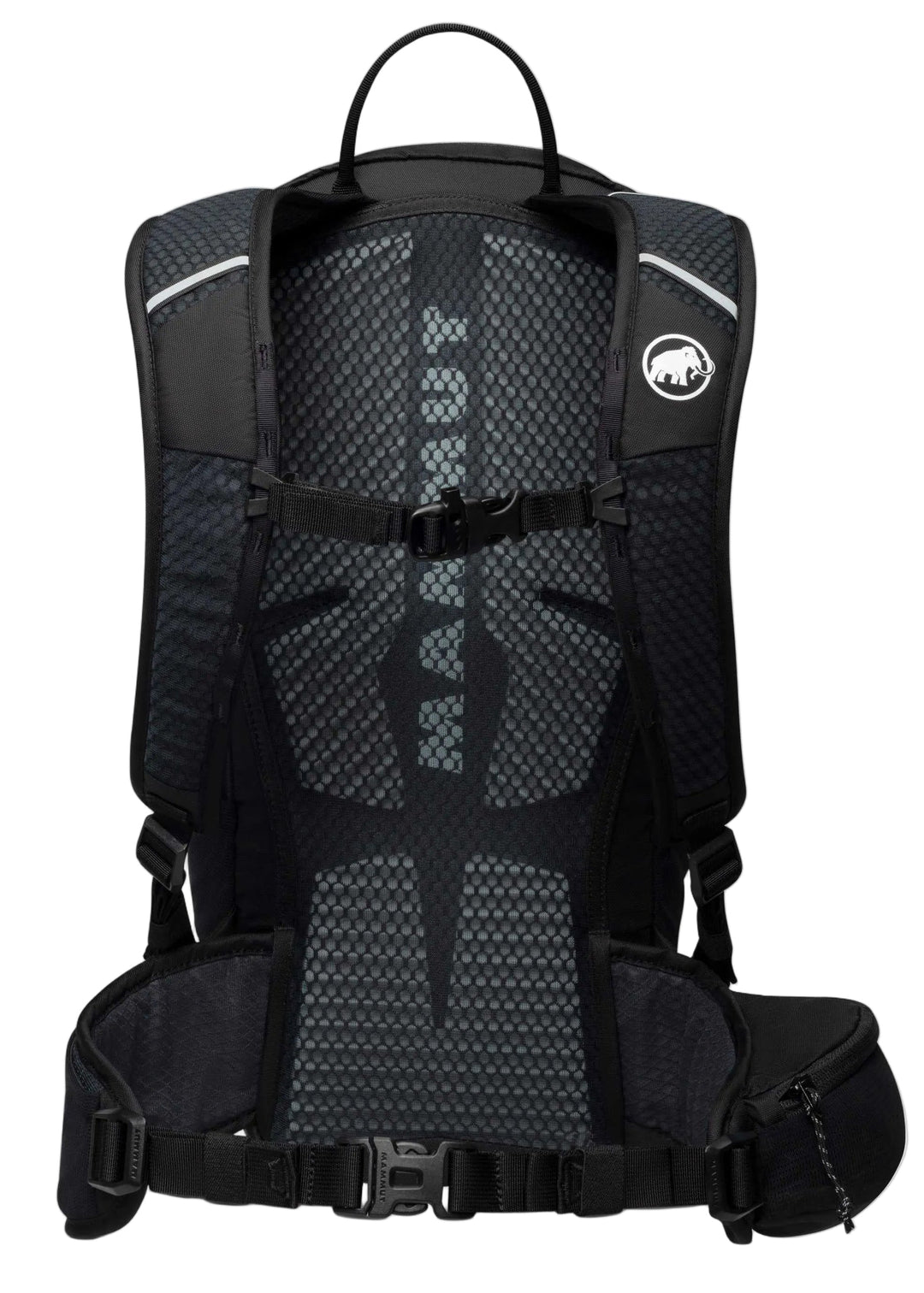 Lithium 20 Pack - 20L