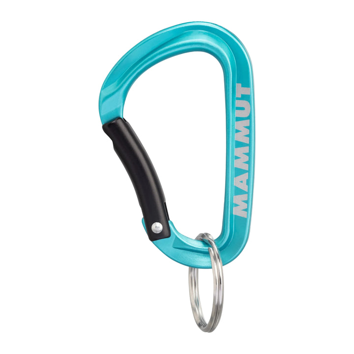 Mini Carabiner Classic Keylock S