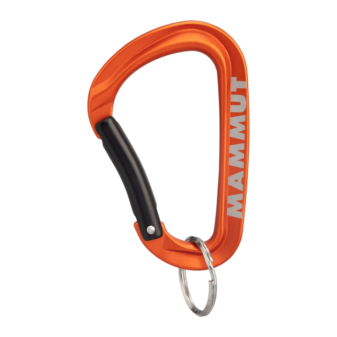 Mini Carabiner Workhorse Keylock L