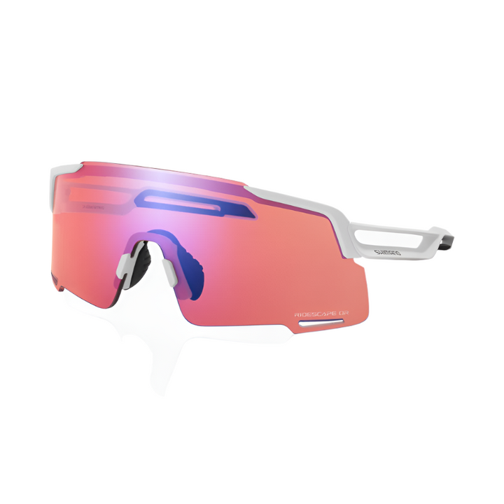 Equinox Sunglasses