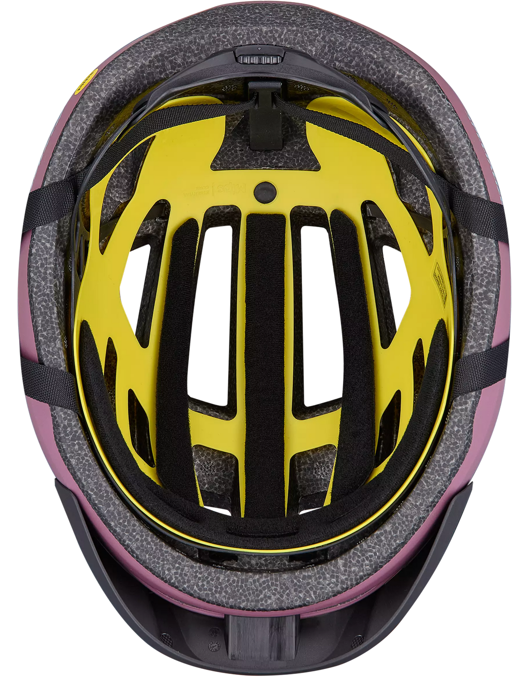 Chamonix 3 MIPS Bike Helmet