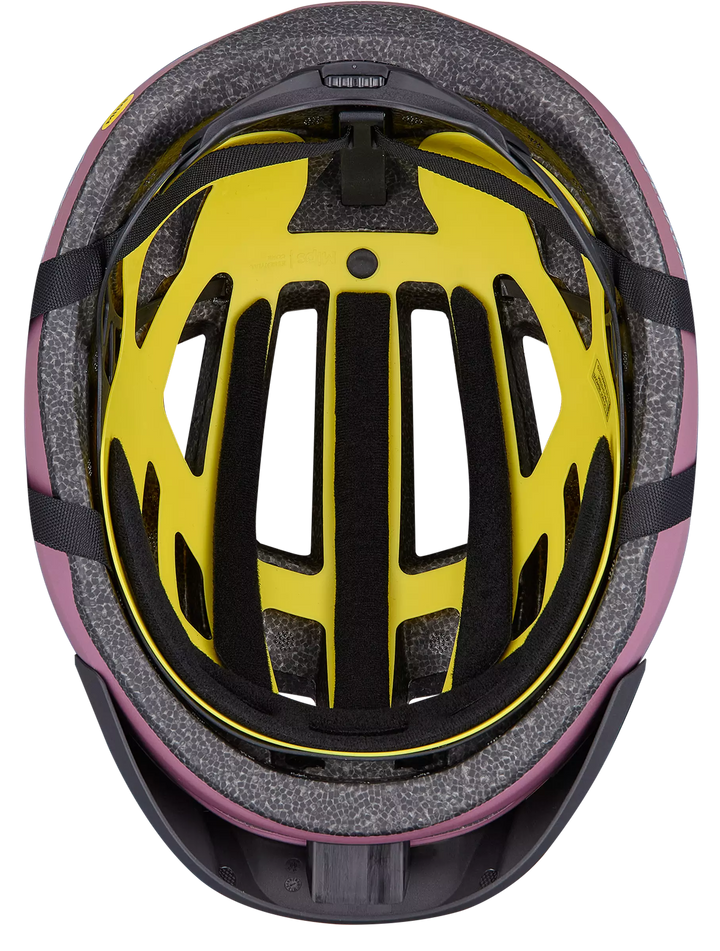 Chamonix 3 MIPS Bike Helmet