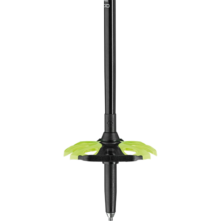 Guide 2 Ski Poles