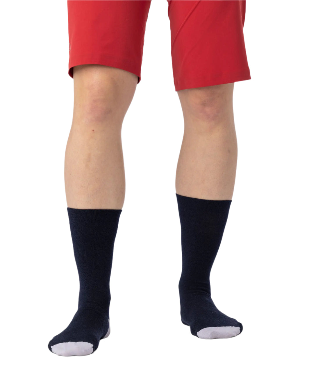 Ashlu Merino Sock 7" - Men's