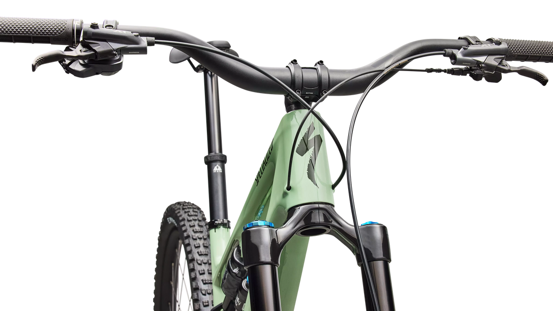 Stumpjumper 15 EVO Expert Di2