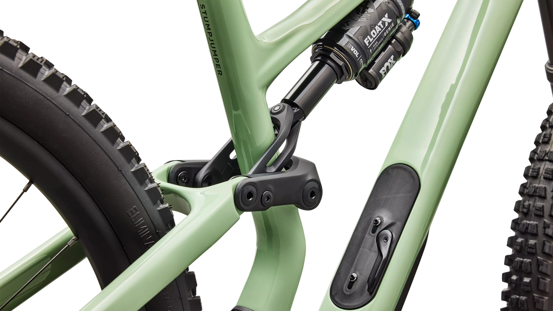 Stumpjumper 15 EVO Expert Di2