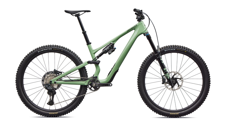 Stumpjumper 15 EVO Expert Di2