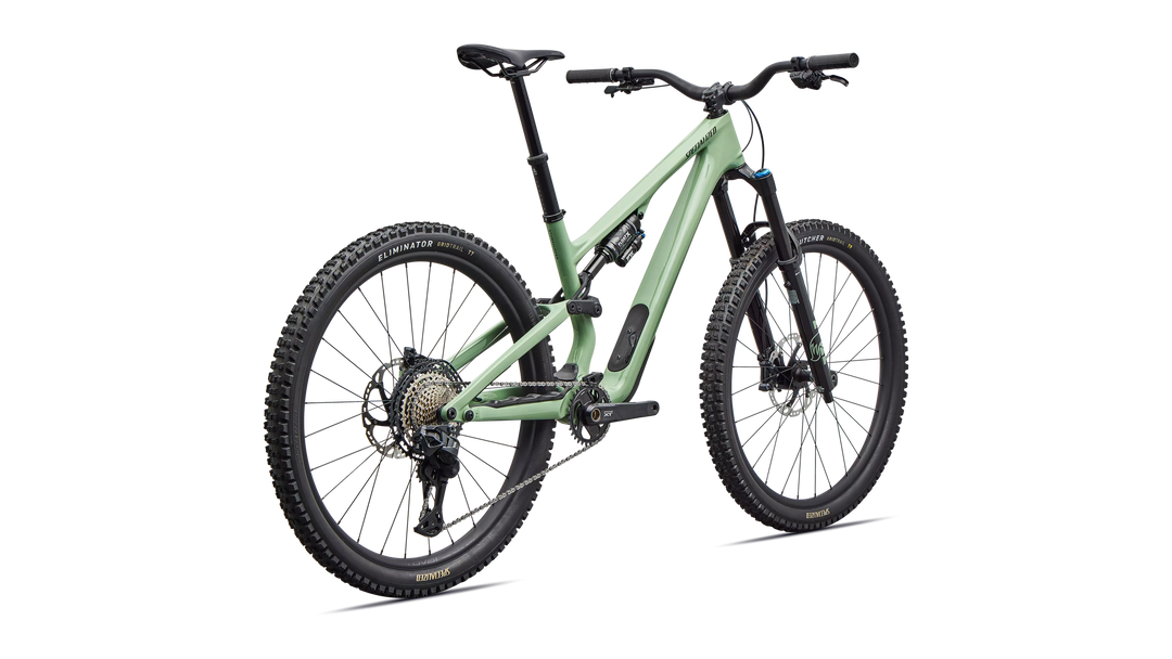 Stumpjumper 15 EVO Expert Di2