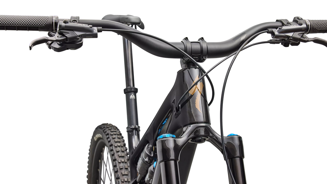 Turbo Levo SL 2 Expert Di2 - E-Bike