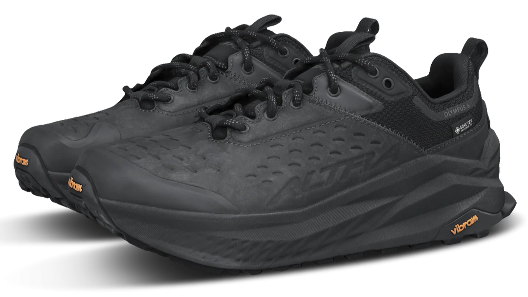 Olympus 6 Hike Low GTX - Women's