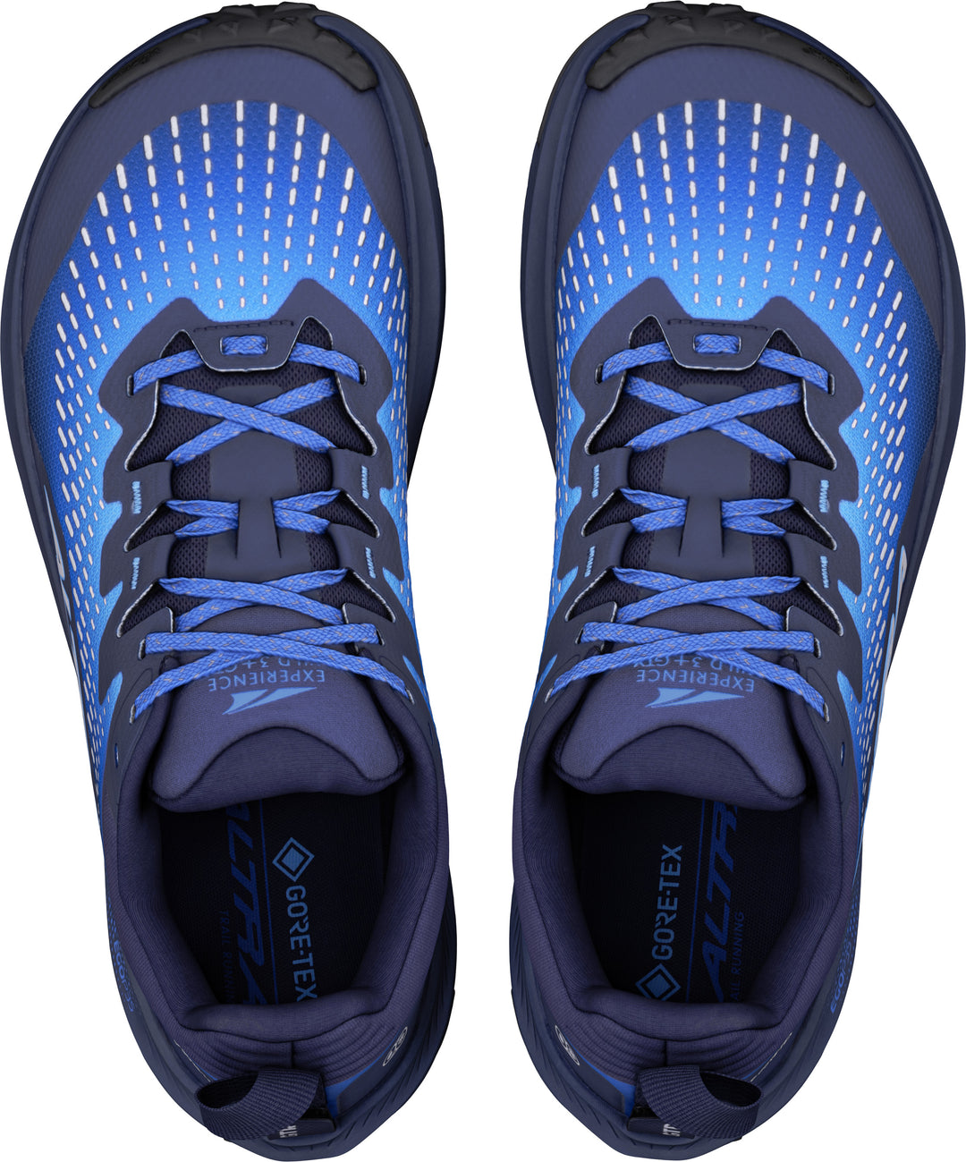 Experience Wild 3+ GTX - Men's