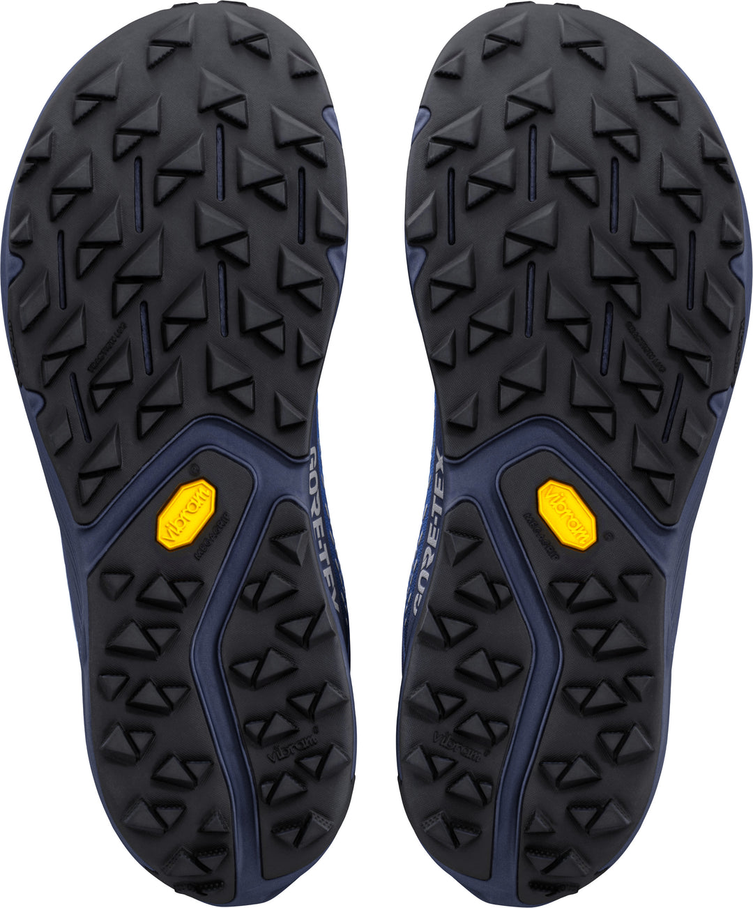 Experience Wild 3+ GTX - Men's