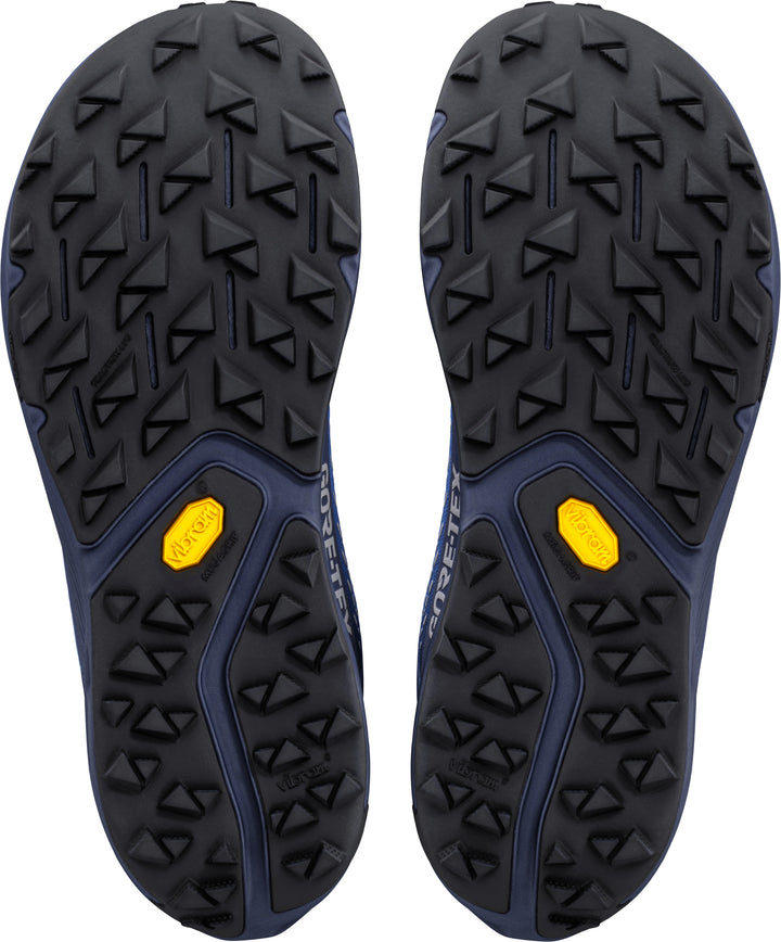Experience Wild 3+ GTX - Men's