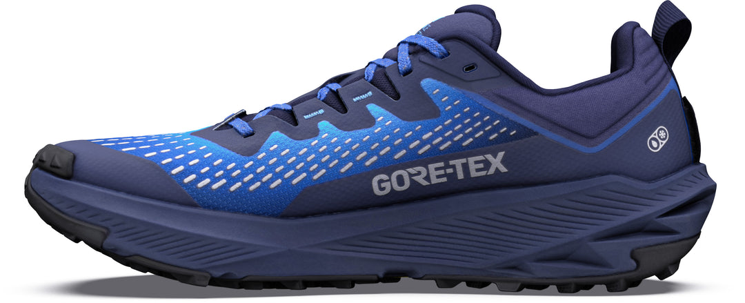 Experience Wild 3+ GTX - Men's
