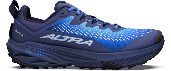 Experience Wild 3+ GTX - Men's
