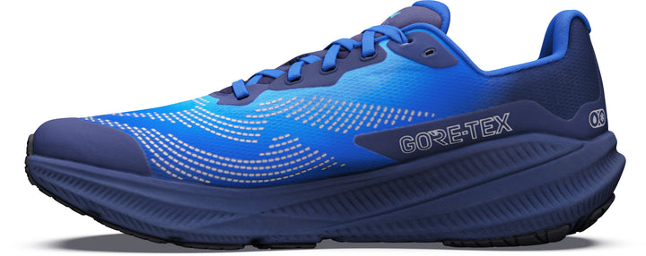 Experience Flow 3 GTX - Men's