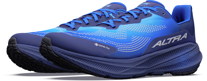 Experience Flow 3 GTX - Men's