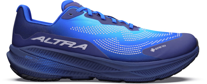 Experience Flow 3 GTX - Men's