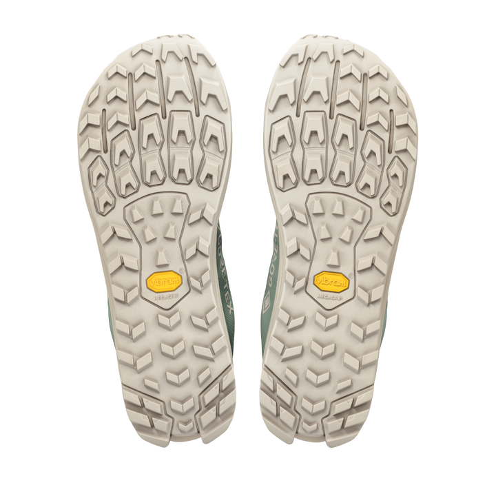 Lone Peak 9+ GTX - Men's