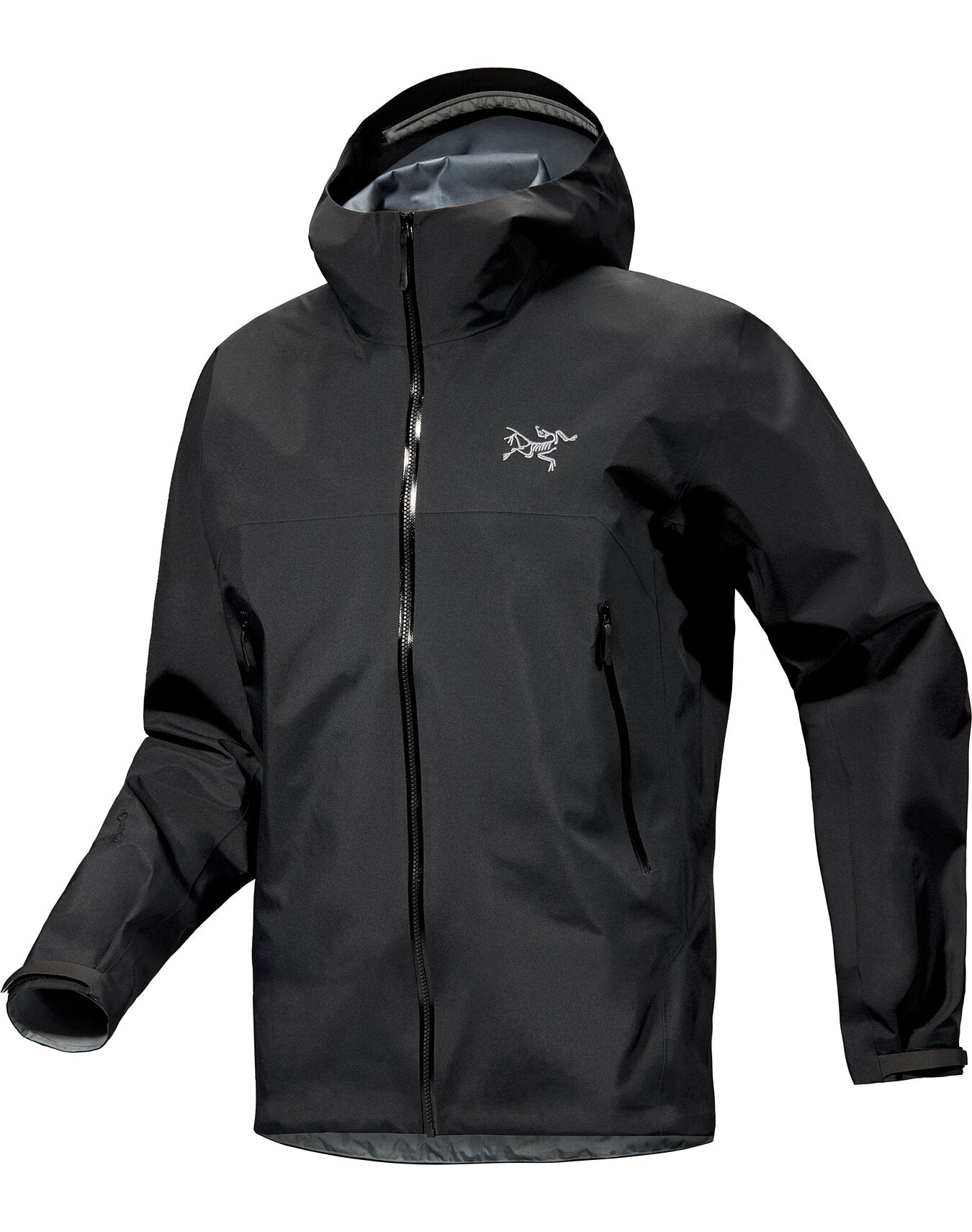 Beta GTX Jacket - Men's – Bushtukah